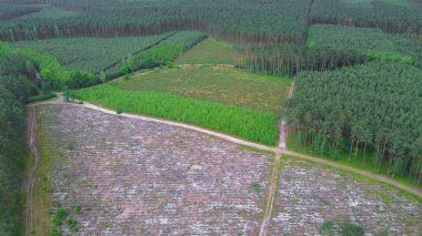 Yeşil Orman 'ın Havadan Görünümü