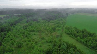 Sabah Sisi Yağmur Ormanı 'nın Örtüsü