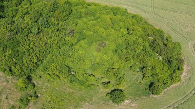 Sürdürülebilir Büyüme: Çiftlik Toprakları Ormanla Karşılaşıyor