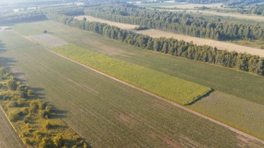 Kırsal bölgedeki yemyeşil orman ve tarlaların havadan görünüşü
