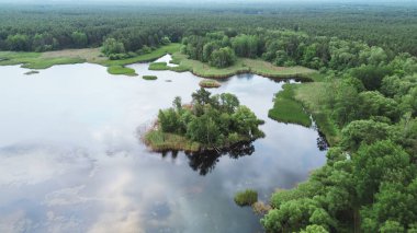 Aerial shot of lake island surrounded by marsh clipart