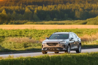 Alacakaranlıkta yemyeşil kırsaldan geçen Avrupa SUV 'u