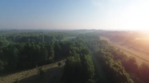 stock image Foggy morning over fields and tree clusters aerial view