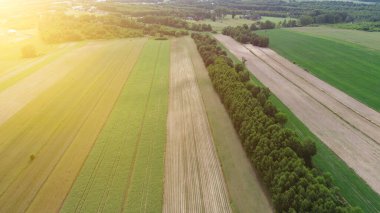 Avrupa 'nın gölgeli tarım arazileri üzerinde akşam güneşi