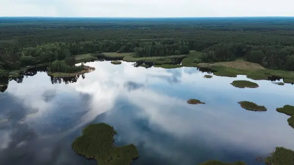 stock image Green forest and lake with overcast sky reflection