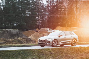 Aile cipi orman ve inşaat yolu üzerinde.