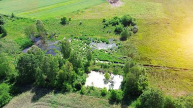 Ağaçların ve tarlaların yukarısından Taşra Göleti
