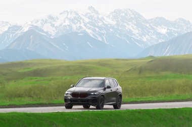 Pahalı siyah SUV yemyeşil tarlaları olan manzaralı bir yolda