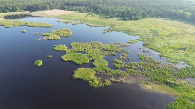 Bereketli Yeşil Sazlıklarla Mavi Göl 'ün Havadan Görünümü
