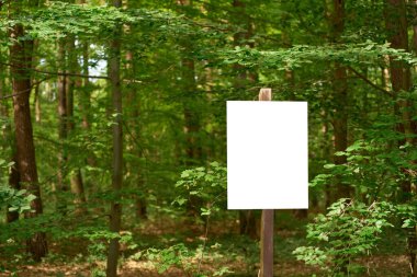 Ahşap direğin üzerindeki yeşil ormanda beyaz boş tabela kopyalama alanı sağlıyor