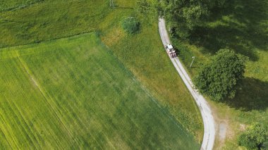 Yeşillik alanlarda kırsal bir yolda traktör sürüyor