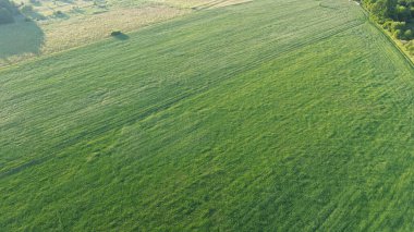 Gün batımında Yaz Tarlalarının Hava Çekimi