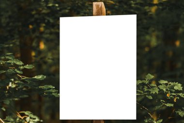 Yeşil ormandaki tahta direğe yazı yazmak için boş beyaz işaret