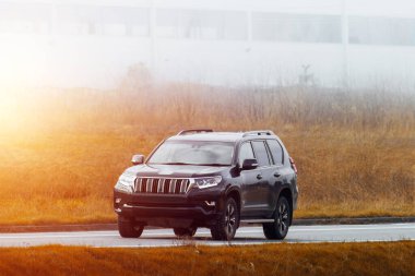 Zarif siyah SUV manzaralı yeşil kırsal alanda sürüyor.