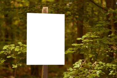 Yeşil ormandaki tahta direğe yazı yazmak için boş beyaz işaret