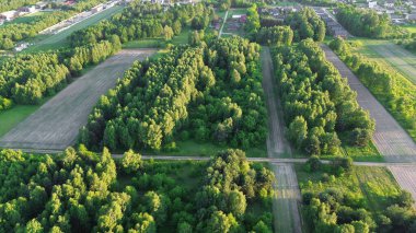 Kırsal alanda yaz yeşilliğinin havadan görünüşü