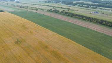 Drone Günbatımında Renkli Çiftlik Alanlarını Yakalıyor