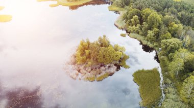 Ağaçlarla kaplı adası ve gökyüzü yansıması olan orman gölü.