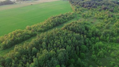 Kırsal alanlarda ve ormanlarda altın saat günbatımı