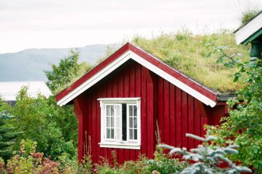 Norveç 'te sakin bir göl kenarındaki Idyllic kırmızı kabini