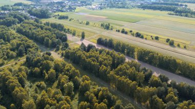 Orman ve çimenlik tarlalar akşam ışığında yukarıdan