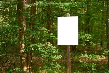 Ormanda duran tahta direğe beyaz bir işaret iliştirilmiş.