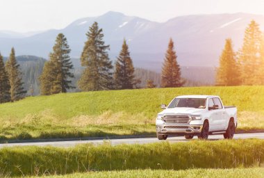 Ormandan geçen beyaz bir kamyonet.