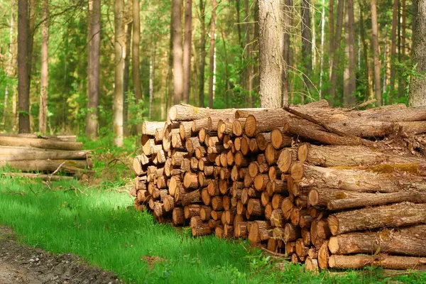 stock image Stacked Logs in Sunny Countryside Field