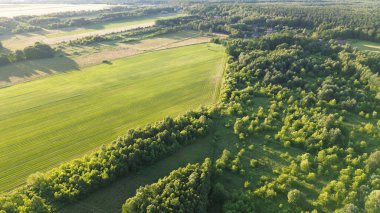 Avrupa 'da gün batımında altın bir tarlanın havadan görünüşü