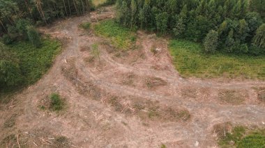 Ormanın ve ormansızlığın havadan görünüşü çevresel etkiyi gösteriyor.