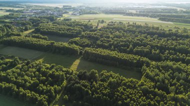 Orman ve tarlalar akşam güneşiyle yıkandı.