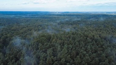 Drone shot of foggy forest under blue sky clipart