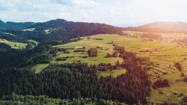 Dağlık bölgedeki orman parkının sabah hava güneşli manzarası