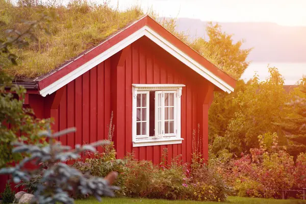 Huzurlu bir Norveç ormanında, gölün kenarındaki kırmızı kulübe.