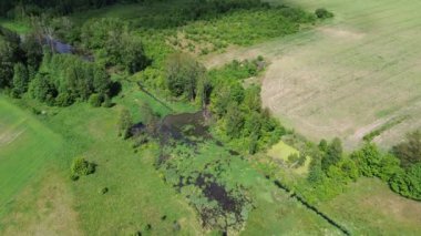 Orman ve tarlalarla çevrili Sakin Gölet 'li Bataklık Biomu