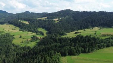 Dağlık arazide, orman parkının üzerindeki parlak sabah güneşi.