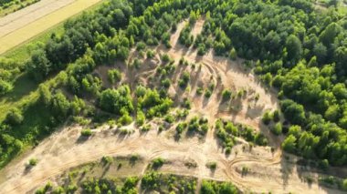 Ormanın içinden geçen sarmal toprak yolların havadan görünüşü