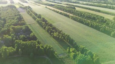 Avrupa 'da günbatımında ağaçlarla dolu canlı altın ovalar