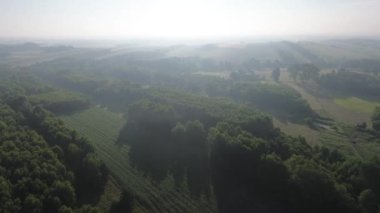 Sabahın erken saatlerinde tarlaları ve ormanları olan manzaralı bir yer.