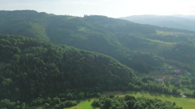 Manzaralı orman parkının sabah güneşiyle drone görüntüsü