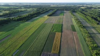 Geometrik Ekin Örnekleri ile Manzaralı Kırsal Manzara