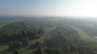 Yoğun ormanın ve kırsal alanların sabahları insansız hava aracı görüntüleri.
