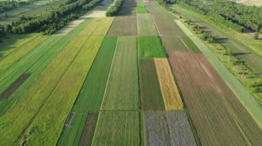 Geometrik desenli Engin Tarım Alanlarında Günbatımı