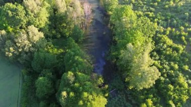 Etrafı Ağaçlarla çevrili Sessiz Göl 'ün Hava Fotoğrafı