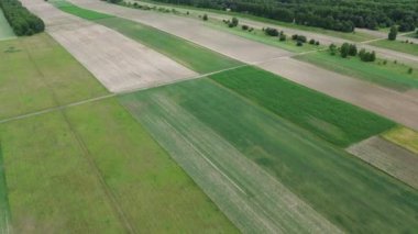 Tarım alanında çeşitli ekinler dönüşümlü olarak büyüyor