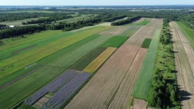 Ürün çeşitliliği ile sürdürülebilir tarım uygulamaları