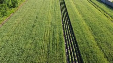 Sürdürülebilir Tarım Uygulamalarının Hava Perspektifi