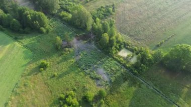 Sabahın erken saatlerinde tarlaları ve ormanları olan manzaralı bir yer.