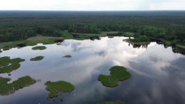 Bulutlu gökyüzü yansımalı yeşil orman ve göl