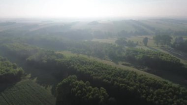 Yukarıdan ağaçlar ve tarlalarla kaplı sis kaplı bir yer.